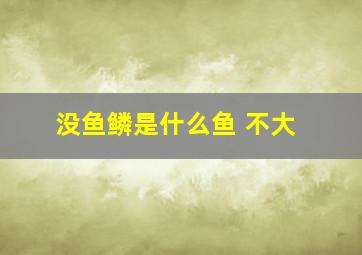 没鱼鳞是什么鱼 不大